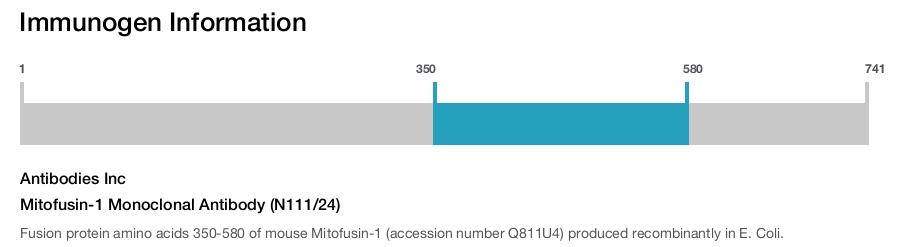 Mitofusin-1 Monoclonal Antibody (N111/24)