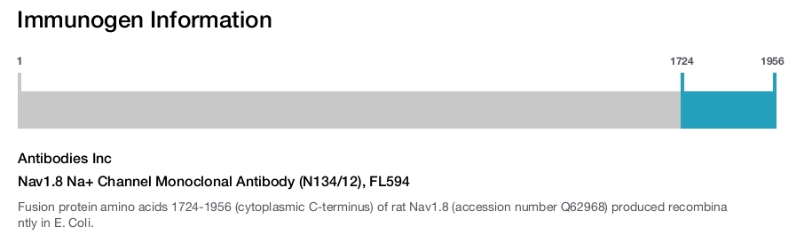 Nav1.8 Na+ Channel Monoclonal Antibody (N134/12), FL594