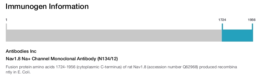 Nav1.8 Na+ Channel Monoclonal Antibody (N134/12)