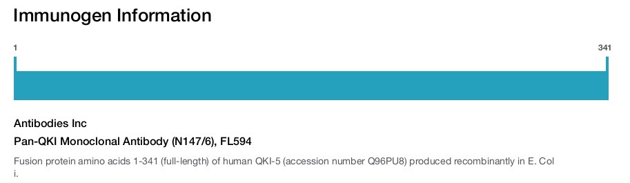 Pan-QKI Monoclonal Antibody (N147/6), FL594