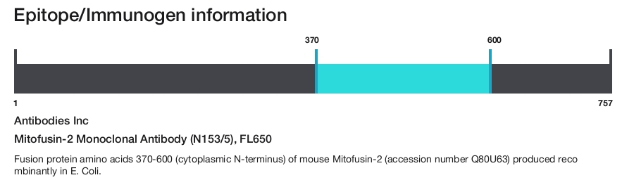 Mitofusin-2 Monoclonal Antibody (N153/5), FL650