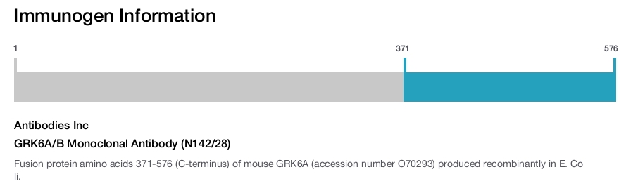 GRK6A/B Monoclonal Antibody (N142/28)