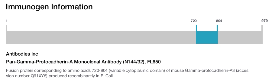 Pan-Gamma-Protocadherin-A Monoclonal Antibody (N144/32), FL650