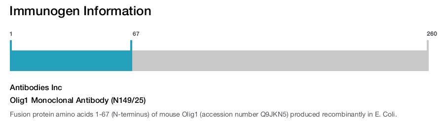 Olig1 Monoclonal Antibody (N149/25)