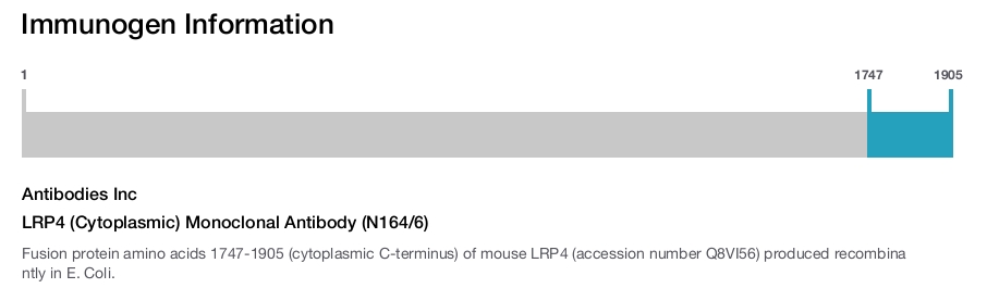 LRP4 (Cytoplasmic) Monoclonal Antibody (N164/6)