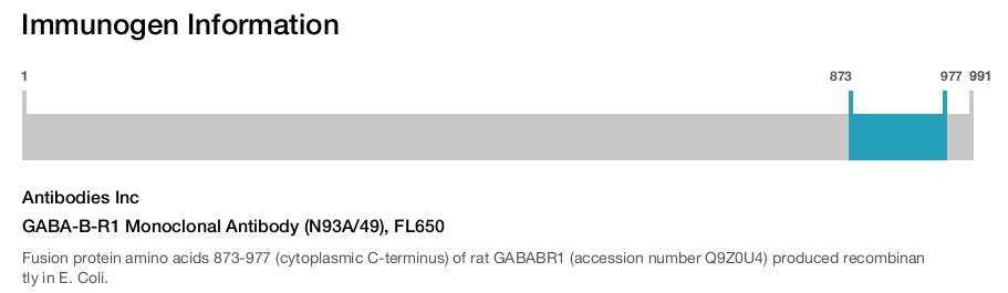 GABA-B-R1 Monoclonal Antibody (N93A/49), FL650