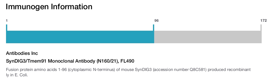 SynDIG3/Tmem91 Monoclonal Antibody (N160/21), FL490
