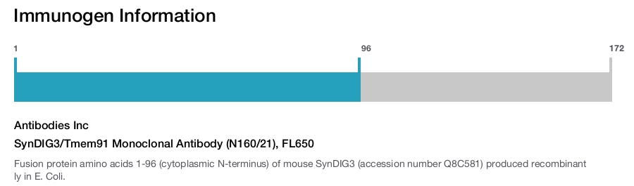 SynDIG3/Tmem91 Monoclonal Antibody (N160/21), FL650