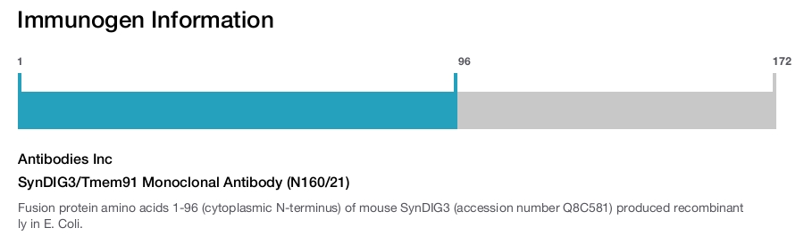 SynDIG3/Tmem91 Monoclonal Antibody (N160/21)