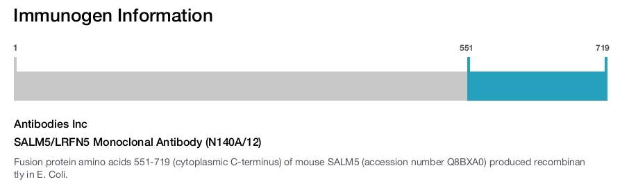 SALM5/LRFN5 Monoclonal Antibody (N140A/12)