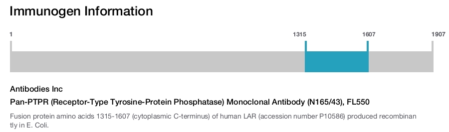 Pan-PTPR (Receptor-Type Tyrosine-Protein Phosphatase) Monoclonal Antibody (N165/43), FL550