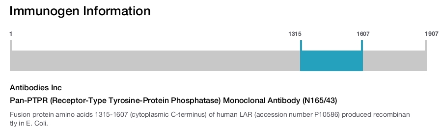 Pan-PTPR (Receptor-Type Tyrosine-Protein Phosphatase) Monoclonal Antibody (N165/43)