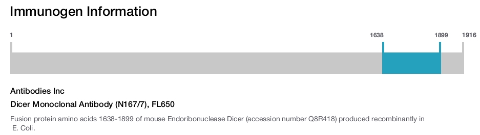 Dicer Monoclonal Antibody (N167/7), FL650