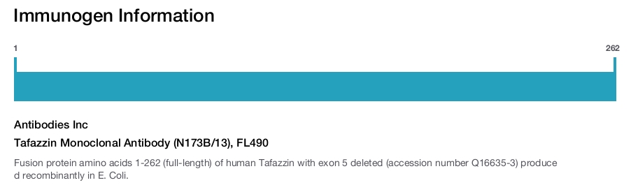 Tafazzin Monoclonal Antibody (N173B/13), FL490