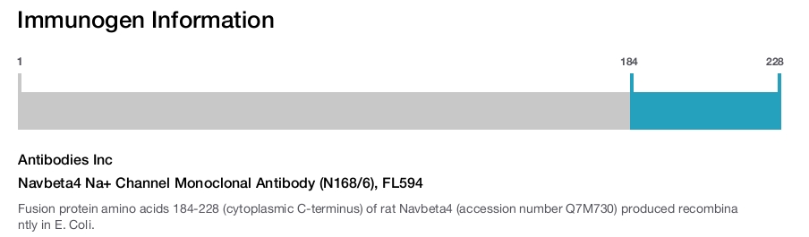 Navbeta4 Na+ Channel Monoclonal Antibody (N168/6), FL594