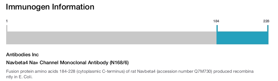 Navbeta4 Na+ Channel Monoclonal Antibody (N168/6)