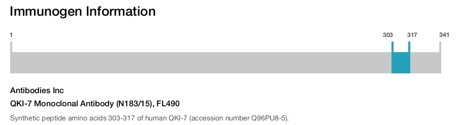 QKI-7 Monoclonal Antibody (N183/15), FL490