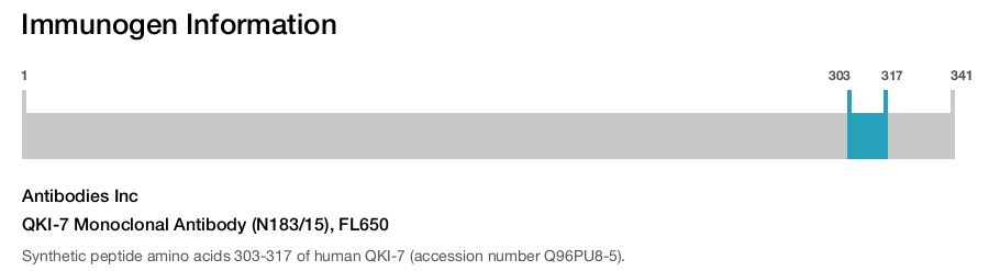 QKI-7 Monoclonal Antibody (N183/15), FL650