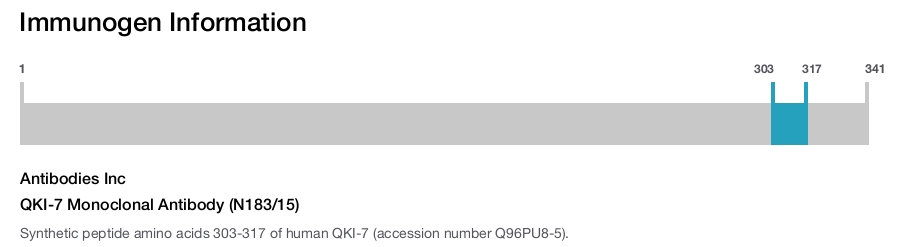 QKI-7 Monoclonal Antibody (N183/15)