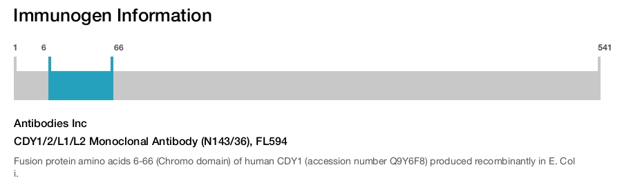 CDY1/2/L1/L2 Monoclonal Antibody (N143/36), FL594