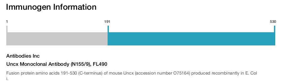 Uncx Monoclonal Antibody (N155/9), FL490