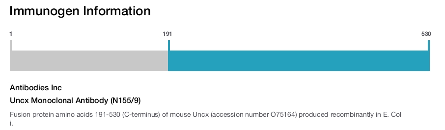 Uncx Monoclonal Antibody (N155/9)