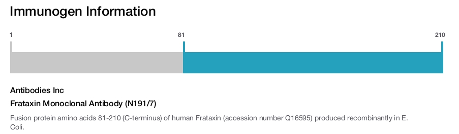 Frataxin Monoclonal Antibody (N191/7)
