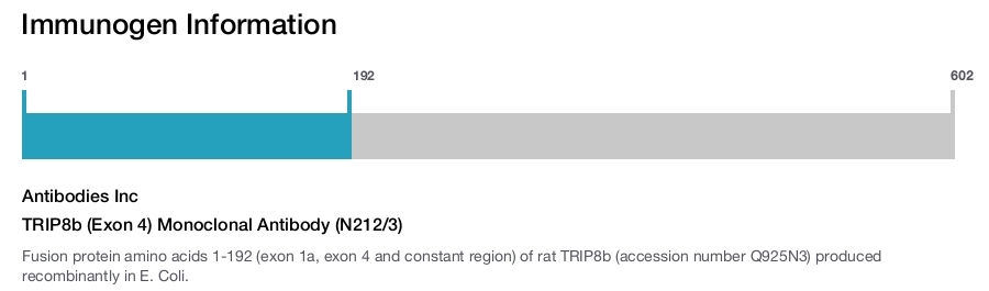 TRIP8b (Exon 4) Monoclonal Antibody (N212/3)