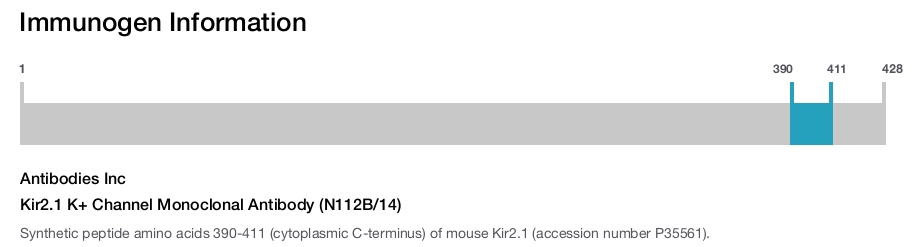 Kir2.1 K+ Channel Monoclonal Antibody (N112B/14)