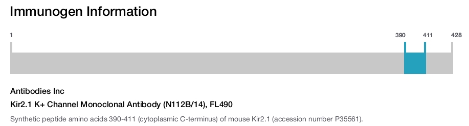 Kir2.1 K+ Channel Monoclonal Antibody (N112B/14), FL490