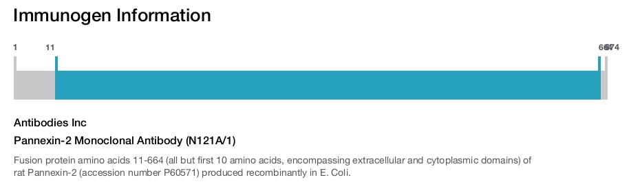 Pannexin-2 Monoclonal Antibody (N121A/1)