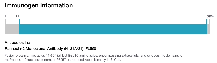 Pannexin-2 Monoclonal Antibody (N121A/31), FL550