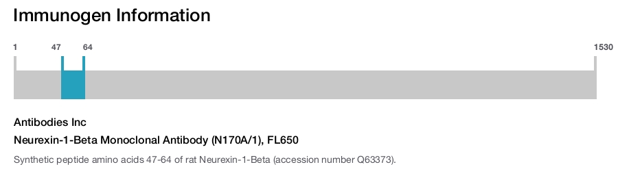 Neurexin-1-Beta Monoclonal Antibody (N170A/1), FL650
