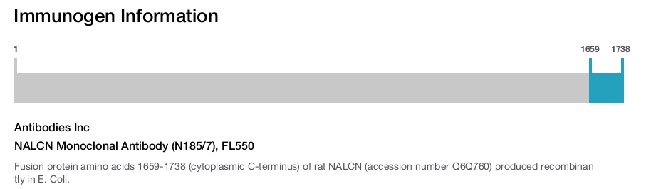 NALCN Monoclonal Antibody (N185/7), FL550