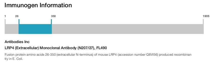 LRP4 (Extracellular) Monoclonal Antibody (N207/27), FL490