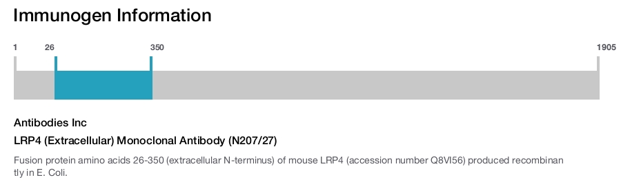 LRP4 (Extracellular) Monoclonal Antibody (N207/27)