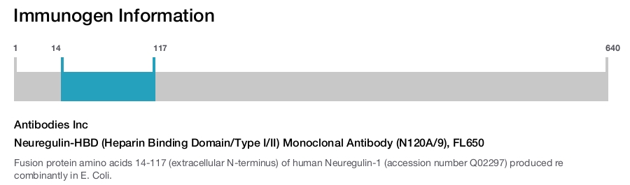 Neuregulin-HBD (Heparin Binding Domain/Type I/II) Monoclonal Antibody (N120A/9), FL650