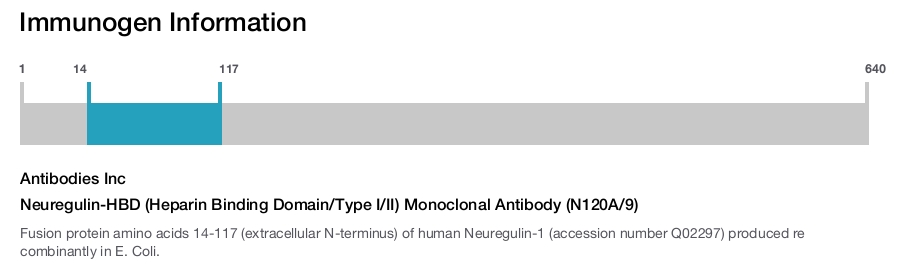Neuregulin-HBD (Heparin Binding Domain/Type I/II) Monoclonal Antibody (N120A/9)