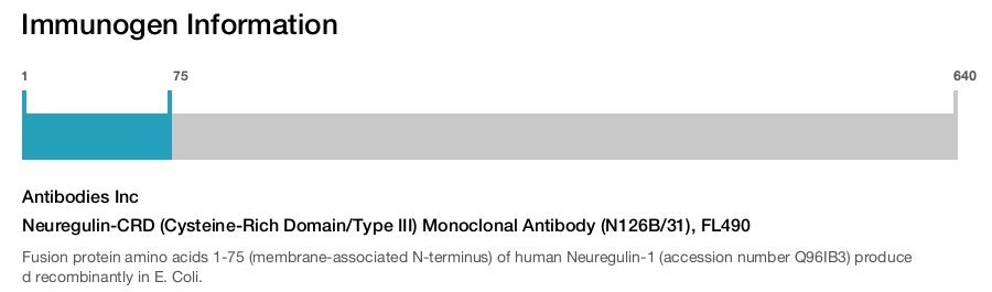 Neuregulin-CRD (Cysteine-Rich Domain/Type III) Monoclonal Antibody (N126B/31), FL490