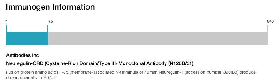 Neuregulin-CRD (Cysteine-Rich Domain/Type III) Monoclonal Antibody (N126B/31)