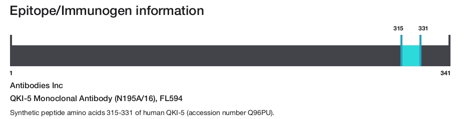 QKI-5 Monoclonal Antibody (N195A/16), FL594