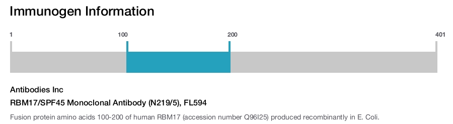 RBM17/SPF45 Monoclonal Antibody (N219/5), FL594