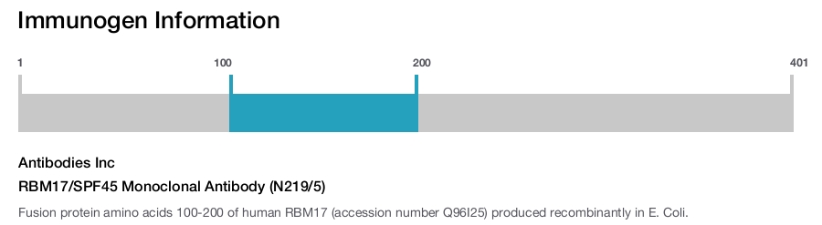 RBM17/SPF45 Monoclonal Antibody (N219/5)
