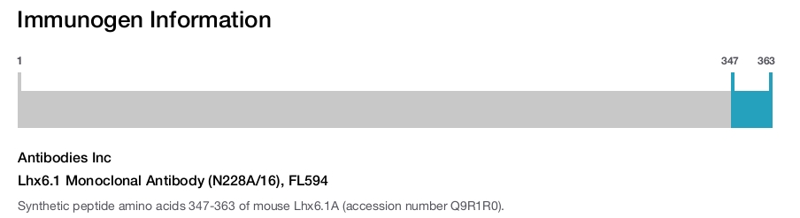 Lhx6.1 Monoclonal Antibody (N228A/16), FL594