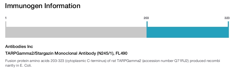 TARPGamma2/Stargazin Monoclonal Antibody (N245/1), FL490