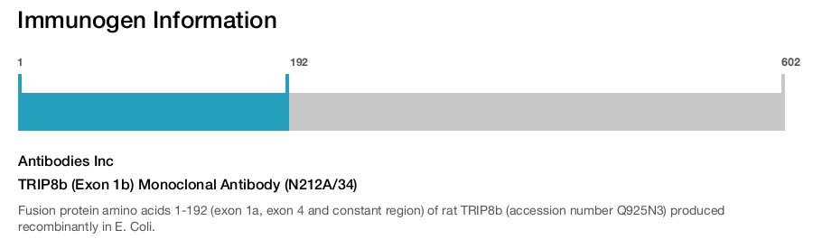 TRIP8b (Exon 1b) Monoclonal Antibody (N212A/34)