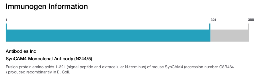 SynCAM4 Monoclonal Antibody (N244/5)
