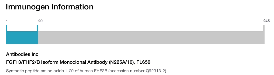 FGF13/FHF2/B Isoform Monoclonal Antibody (N225A/10), FL650