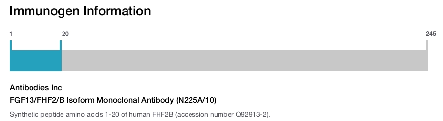 FGF13/FHF2/B Isoform Monoclonal Antibody (N225A/10)