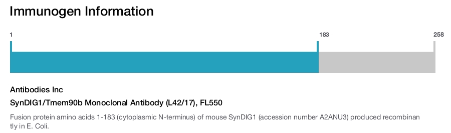 SynDIG1/Tmem90b Monoclonal Antibody (L42/17), FL550